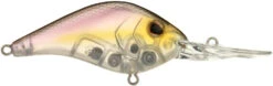 Berkley Dredger Deep Diving Crankbait Deeper Diving Models -Cheap Fishing Store 40325003247705