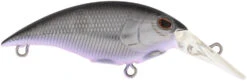 Berkley Money Badger Trolling Plug / Crankbait -Cheap Fishing Store 40326907199577