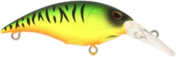 Berkley Money Badger Trolling Plug / Crankbait -Cheap Fishing Store 40326907396185