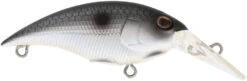 Berkley Money Badger Trolling Plug / Crankbait -Cheap Fishing Store 40326907461721