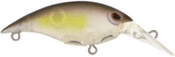 Berkley Money Badger Trolling Plug / Crankbait -Cheap Fishing Store 40326907592793