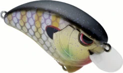 SPRO Outsider SR 55 Crankbait -Cheap Fishing Store 40342470099033