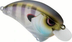 SPRO Outsider SR 55 Crankbait -Cheap Fishing Store 40342470131801