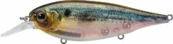 Evergreen International XV-5 X-Over Hybrid Jerk Crankbait -Cheap Fishing Store 40378015023193