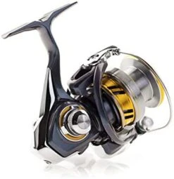 Daiwa Regal LT Spinning Reel -Cheap Fishing Store 418E3HhhrIL. AC