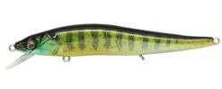 Megabass Ito Vision 110 FX Jerkbait -Cheap Fishing Store 8301543817271 72d87341 c147 4661 bf39 d14cbf68b7c7