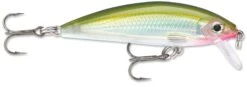 Rapala X-Rap CountDown 05 Jerkbait -Cheap Fishing Store 8353333510199