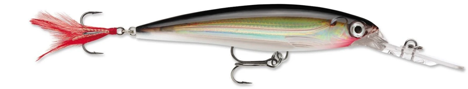 Rapala X-Rap Deep 08 Deep Diving Jerkbait 6 Rapala X-Rap Deep 08 Deep Diving Jerkbait - Image 6