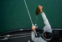 Abu Garcia Veritas Winch Baitcasting Rod -Cheap Fishing Store ABU CASTING ROD VERITAS PLX WINCH LIFESTYLE 2021 005