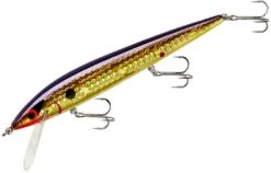 Smithwick Elite 8 Rogue 4 1/2 Inch Suspending Jerkbait -Cheap Fishing Store ADR4213