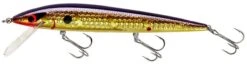 Smithwick Elite 8 Rogue 4 1/2 Inch Suspending Jerkbait -Cheap Fishing Store ADR4213 427dcaa6 8bc9 4645 9527 5e6203b63ad1