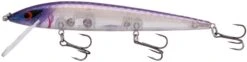 Smithwick Elite 8 Rogue 4 1/2 Inch Suspending Jerkbait -Cheap Fishing Store ADR4279