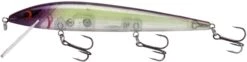 Smithwick Elite 8 Rogue 4 1/2 Inch Suspending Jerkbait -Cheap Fishing Store ADR4282
