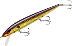 Smithwick Perfect 10 Rogue 5 1/2 Inch Deep Diving Suspending Jerkbait -Cheap Fishing Store ADR5213