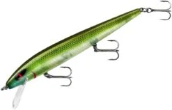 Smithwick Perfect 10 Rogue 5 1/2 Inch Deep Diving Suspending Jerkbait -Cheap Fishing Store ADR5281