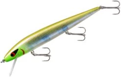 Smithwick Perfect 10 Rogue 5 1/2 Inch Deep Diving Suspending Jerkbait -Cheap Fishing Store ADR5283