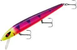 Smithwick Perfect 10 Rogue 5 1/2 Inch Deep Diving Suspending Jerkbait -Cheap Fishing Store ADR5291