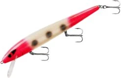 Smithwick Perfect 10 Rogue 5 1/2 Inch Deep Diving Suspending Jerkbait -Cheap Fishing Store ADR5293