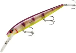 Smithwick Top 20 Rogue 5 1/2 Inch Extra Deep Diving Trolling Minnow/Jerkbait -Cheap Fishing Store ADRD5289