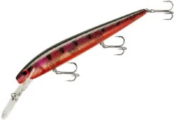 Smithwick Top 20 Rogue 5 1/2 Inch Extra Deep Diving Trolling Minnow/Jerkbait -Cheap Fishing Store ADRD5294