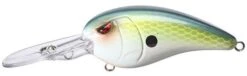 SPRO Mike McClelland RkCrawler 55 Deep Diving Crankbait 24 SPRO Mike McClelland RkCrawler 55 Deep Diving Crankbait -Cheap Fishing Store Ayu Shad 922eb252 6597 40c6 8dd7 76776bafdde8