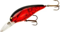 Bomber Model 7A Medium Diving Crankbait -Cheap Fishing Store B07AXC5 5ebfdafd f4e2 44c3 b14d 07a4a42e537b