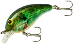 Bandit 100 Series Shallow Diving Crankbait -Cheap Fishing Store BDT1B38