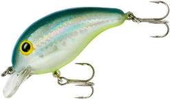 Bandit 100 Series Shallow Diving Crankbait -Cheap Fishing Store BDT1D67