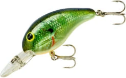 Bandit 200 Series Medium Diving Crankbait -Cheap Fishing Store BDT2B38