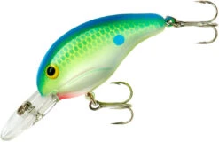 Bandit 200 Series Medium Diving Crankbait -Cheap Fishing Store BDT2D01