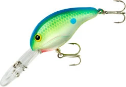 Bandit 300 Series Deep Diving Crankbait -Cheap Fishing Store BDT3D01