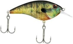 Berkley Frittside Shallow Diving Flat Sided Crankbait -Cheap Fishing Store Berkley Frittside HDBluegill 5Biggun alt2 2000
