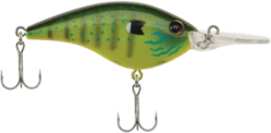 Berkley Frittside Medium Diving Flat Sided Crankbait -Cheap Fishing Store Berkley Frittside Rubbertail 2019 alt2