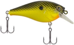 Berkley SquareBull 2 3/8 Inch Shallow Squarebill Crankbait -Cheap Fishing Store Berkley SquareBull Black Chartreuse 2017 alt2 2000