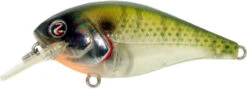 River2Sea Biggie Poppa Bumpin' Rattle Fast Squarebill -Cheap Fishing Store Biggie28Bluegill