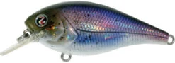 River2Sea Biggie Smalls Bumpin' Rattle Fast Squarebill -Cheap Fishing Store Biggie41HickoryShad 9b540c1f fafb 40af 8151 40e24835f059