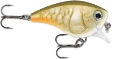 Rapala BX Brat 03 Square Bill Crankbait 19 Rapala BX Brat 03 Square Bill Crankbait -Cheap Fishing Store Bone Craw 1927c5a8 6c7b 403f ba5f ad021283e6f6