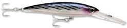 Rapala X-Rap Magnum 15 Big Game Slash Bait -Cheap Fishing Store Bonito 82ea1062 093f 4bc7 9acb 241dea77257f