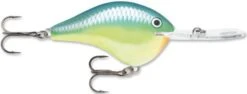 Rapala DT Series Crankbait DT Metal 20 23 Rapala DT Series Crankbait DT Metal 20 -Cheap Fishing Store Carribean Shad 976175bd 013c 4951 be31 93e8e1c52f8c