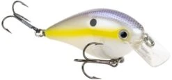 Strike King KVD Magnum Square Bill 8.0 Silent Crankbaits 24 Strike King KVD Magnum Square Bill 8.0 Silent Crankbaits -Cheap Fishing Store Chartreuse Shad e884e2df f2eb 4544 bb33 ad89a8491a96