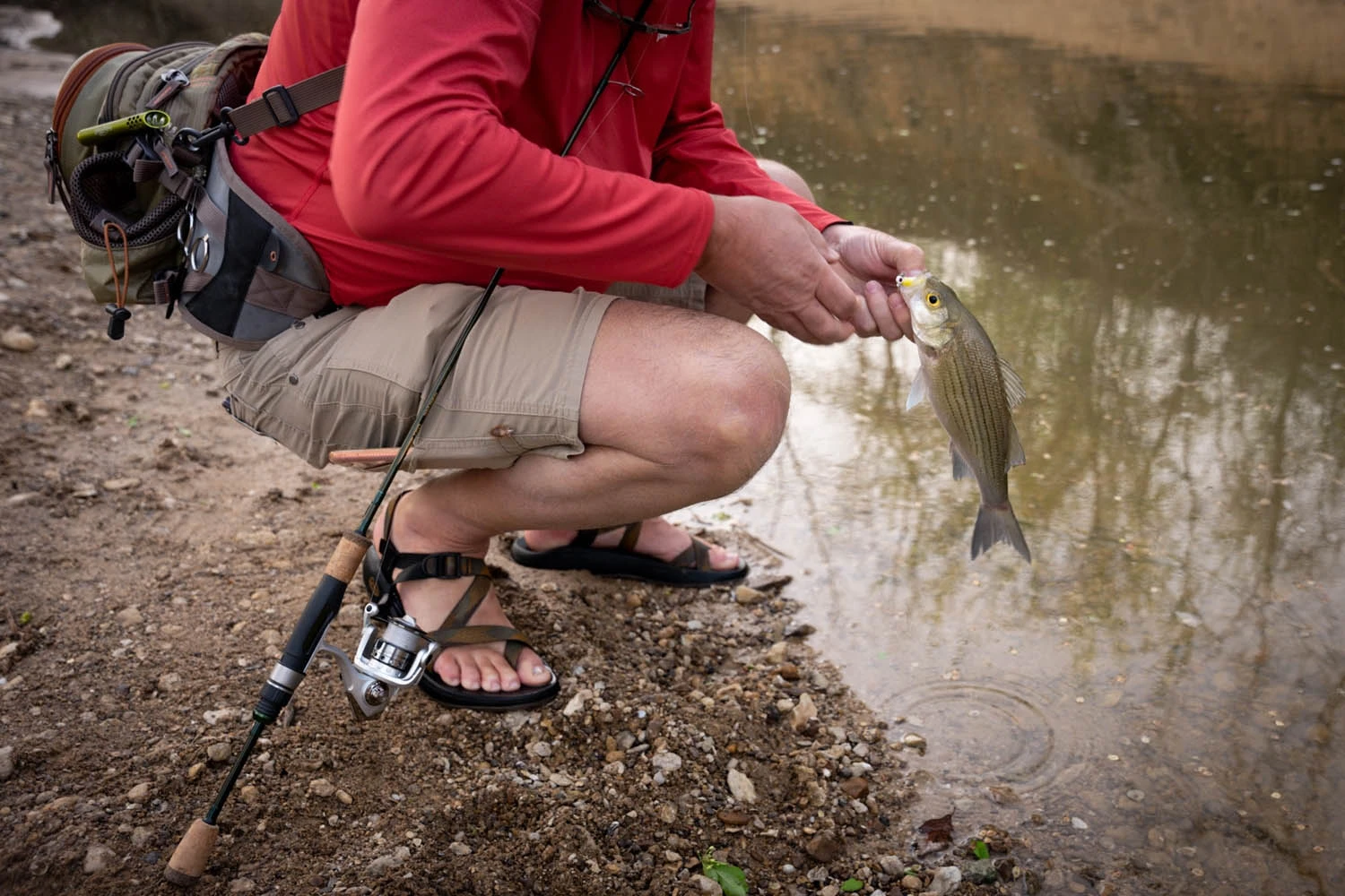 Temple Fork Outfitters Trout-Panfish Spinning Rods 10 Temple Fork Outfitters Trout-Panfish Spinning Rods - Image 10