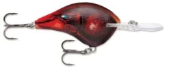 Rapala DT Series Crankbait DT16 -Cheap Fishing Store Delta 7be31b40 92ea 4270 b3f6 16308e821031