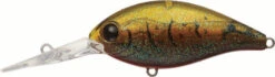 Evergreen International CR-10 Deep Diving Crankbait 27 Evergreen International CR-10 Deep Diving Crankbait -Cheap Fishing Store EVG CR 10 216 Olive Crawdad