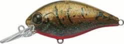 Evergreen International CR-6 Medium Diving Crankbait -Cheap Fishing Store EVG CR 6 216 Olive Crawdad
