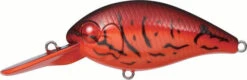 Evergreen International CR-8 Medium Diving Crankbait 22 Evergreen International CR-8 Medium Diving Crankbait -Cheap Fishing Store EVG CR 8 64 Fire Craw
