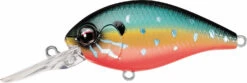 Evergreen International CR-16 Extra Deep Diving Crankbait -Cheap Fishing Store Evergreen CR 214 55568c19 6ae5 4a87 9784 b3ab2461a465