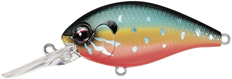 Evergreen International CR-10 Deep Diving Crankbait 14 Evergreen International CR-10 Deep Diving Crankbait - Image 14