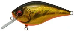 Megabass Knuckle LD Silent Crankbait 2 1/3 Inches -Cheap Fishing Store GG Megabass Kinkuro 87c3d9ee 4b25 4f31 813a a77e3bb707fe