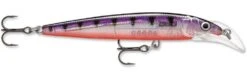 Rapala Scatter Rap Deep Husky Jerk -Cheap Fishing Store Glass Purple Perch bfb1f09f 8c38 4f9c 83cc a54c6b7bc7b8