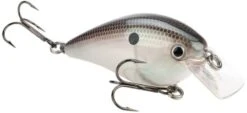Strike King KVD Magnum Square Bill 8.0 Silent Crankbaits 27 Strike King KVD Magnum Square Bill 8.0 Silent Crankbaits -Cheap Fishing Store Green Gizzard Shad e3fb3e2e 3286 4745 809c 9948c86fe4db